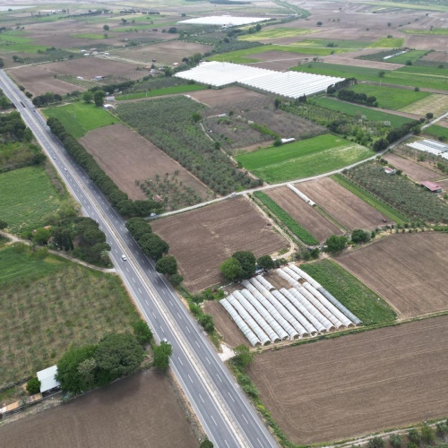 Dikili-Bergama yolu Tarla 